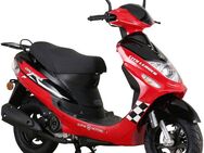Alpha Motors Motorroller CityLeader, 50 ccm, 45 km/h, Euro 5