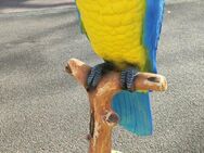 Dekofigur Papagei mit Standfuß für innen und aussen Gartendeko - Hergisdorf