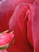 Ein Sexdate? in 8001