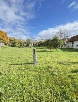 Ländliche Idylle für Mensch und Tier - Ehemalige Landwirtschaft in Bieswang - Pappenheim