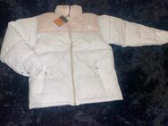 The North Face winterjacke , Daunenjacke150€ - Lichtenau Zentrum