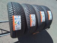 4 Neue Allwetterreifen Ganzjahresreifen G 205 55 17 95 V Ceat 340, Euro incl Montage. - Sprendlingen