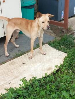 Aron - möchte so viel lernen - Grevenbroich