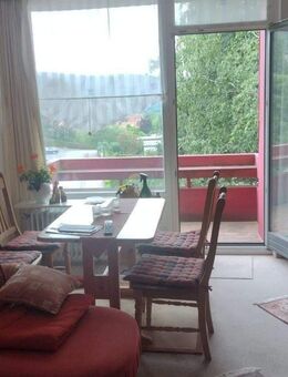 1 Zimmer Apartment ab 1.12.2025 frei -möbliert- mit abgetrenntem Schlafbereich und Balkon in guter Lage mit traumhaftem Blick - Bad Harzburg