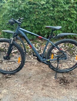 Axess MTB - Hardtail - Essen