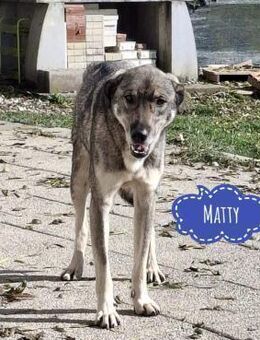 Matty eine gebrochene Seele - Flörsheim-Dalsheim