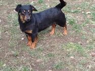 Missy 2 Jahre 30 cm - Beltheim