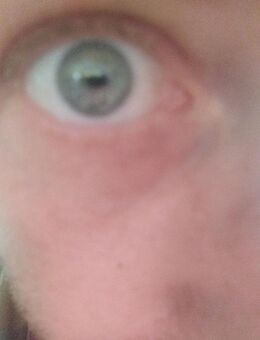 Frech genug zum Flirten, charmant genug zum Behalten - Tessin