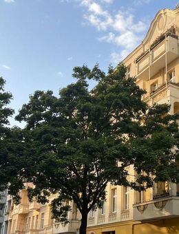 Altbaucharme mit Dielenboden, hohen Decken und viel Gestaltungspotenzial - Berlin