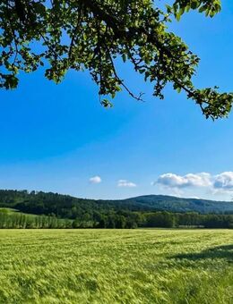 Drei Baukörper auf 100.000 m² Wald und Wiese - ein Paradies für Sie und Ihre Tiere! - Neustadt (Sachsen) Hohwald