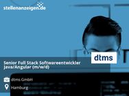 Senior Full Stack Softwareentwickler Java/Angular (m/w/d) - Hamburg