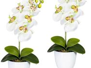 Kunstpflanze Orchidee Phalaenopsis Orchidee, Creativ green, Höhe 40 cm, im Keramiktopf