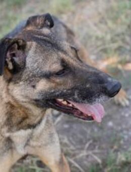 MARLEE - wir wollen auf Entdeckungstour - Overath