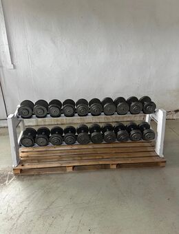 Casall Sweden Kurzhantel-Set Fitness Kraft Strength Gym - Sottrum
