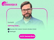 SAP Key User (m/w/d) - Meitingen
