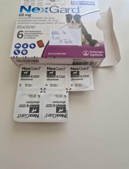 Nexgard 68mg Hund 10-25 kg - Dresden