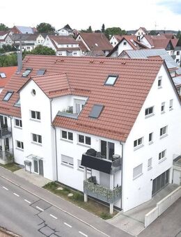 Licht, Raum und Lebensfreude - Ulm