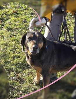 Sanfte HILDA=bereit fürs Familienglück♥️ - München