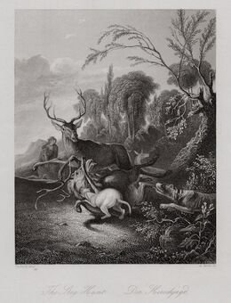 Hirschjagd,. Originaler Stahlstich, Carse um 1850 - Bautzen