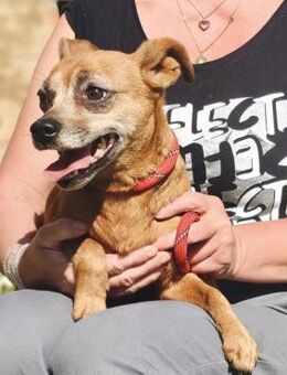 🧡Gitte - in Deutschland zur Pflege - Würzburg