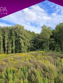 Wohnen am Wald mit Alsterlauf: Fertiggestelltes Neubau - Haus in Kayhude - Kayhude