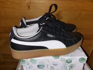 PUMA DAMENSCHUHE /sportschuhe gr.39 - Gründau