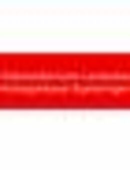 Junior Firmenkundenberater (m/w/d) - Sigmaringen