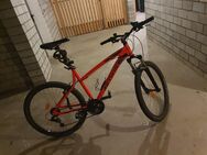 Fahrrad Rockrider 340 - Essen