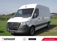 Mercedes Sprinter, 317 Kühlkasten L2H2, Jahr 2023 - Wietmarschen