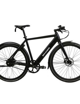 Vorführ-e-Bike Brinckers Bjoern Riemen - Singlespeed H54 / H59 - Wassenberg