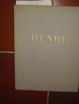 Hunde. Ein Bildbuch mit 90 photographischen s/w Aufnahmen. Gebundene Ausgabe – 1950 von Ylla (Autor) - Rosenheim