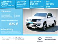 VW Amarok, 3.0 TDI Aventura, Jahr 2020 - Mannheim