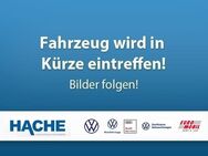 VW up, 1.0 move, Jahr 2019 - Blomberg (Nordrhein-Westfalen)