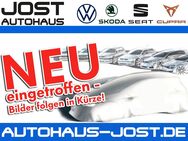 VW Polo, 1.0 TSI Style AppConnect, Jahr 2022 - Arnsberg