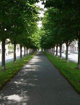 *** Anlage oder Eigennutzung: Attraktive 3-ZKBB-ETW an der Allee! *** - Ballenstedt