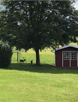 GRENZE L-SCHENGEN: NATUR PUR! 4 SCHLAFZ./ SOFORT FREI! - Perl