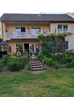 Freistehendes Einfamilienhaus mit Vollkeller und großen Garten - Buchholz (Aller)