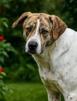 Axel, auf der Suche nach Glück - Bochum
