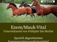 Nahrungsergänzungsmittel für s Pferd von Reico in 82256