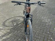 Focus E-Mountainbike - Koblenz