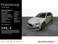 Skoda Octavia, 2.0 TDI Combi Style, Jahr 2024 - Haßfurt