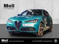 Alfa Romeo Stelvio, Tributo Italiano Technologie-Paket, Jahr 2024 - Köln