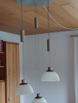 LED Wohnzimmerleuchte - Grafenau (Baden-Württemberg)