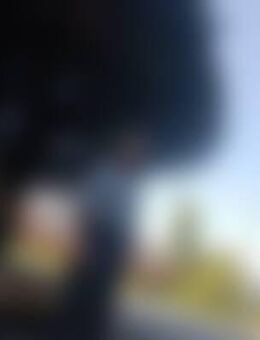 Has*** - Schönau (Königssee)