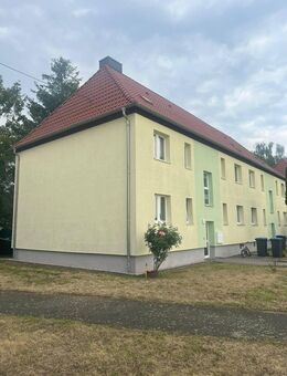 Gemütliche 2-Raum Wohnung in Greppin zu vermieten - Bitterfeld-Wolfen
