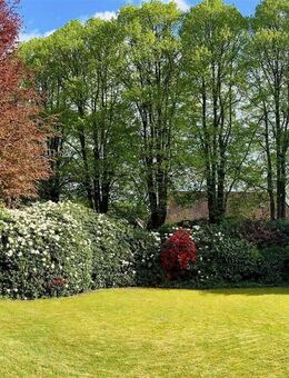 Bezugsfreies Einfamilienhaus mit Carport und Baugrundstück // Wacken, Lindenallee - Wacken