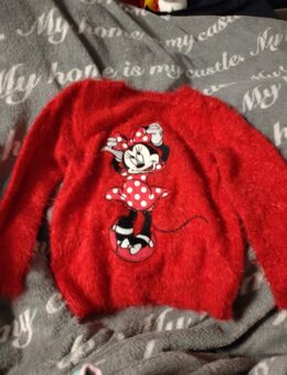 Pullover Zwillinge 110/116 - Buttelstedt