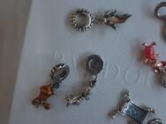 pandora Disney charm winnie puuh, cinderella, bell, aladin, wunderlampe - Gimbweiler