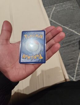 Pokemon und one piece - Deißlingen