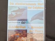Die atemberaubende Welt der Delphine / Schildkröten Neu Ovp Marco Polo Film - Essen